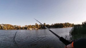 Самый большой Судак! Ловля Судака с Берега