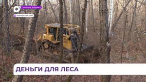 В этом году Дальний Восток получит на охрану лесов почти десять с половиной миллиардов рублей