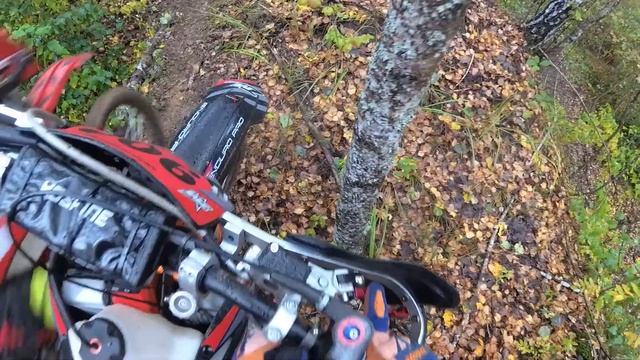 Predatory squirrel. Class Gold. Part 1. Stopped starting the bike during the race. ZM TRACER 300 смотреть онлайн