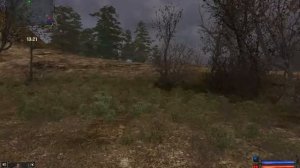 STALKER Золотой шаp-с ветерком #49