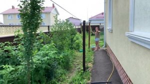 Самая лучшая шпалера для винограда! Как сделать бетонные столбики для винограда и забора