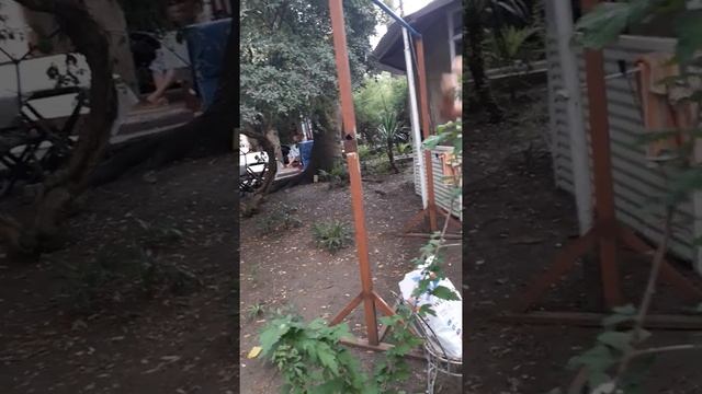 Необычные снаряды. смотреть онлайн