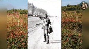 МИФЫ Земляничные поляны