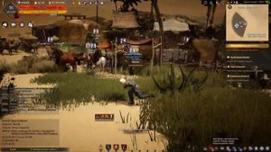 Советы путешественников по пустыне BDO