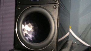 Elac 312 20hz bass issue (Slapping noise)