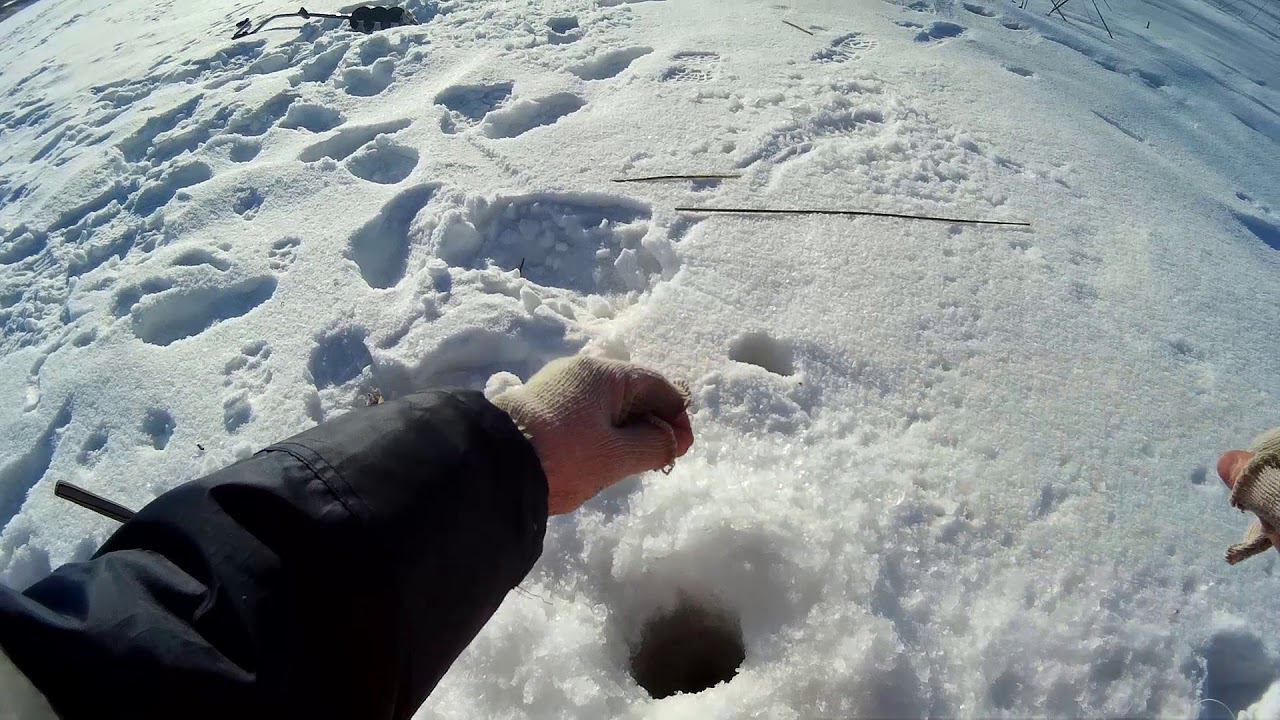 НАКОНЕЦ ТО,УШЁЛ ОТ НУЛЯ!!ТА ЖЕ РЕКА,ТЕ ЖЕ СНАСТИ,СПАСЛО ОЗЕРО! смотреть онлайн