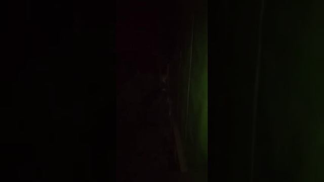 Случайное обследование.Проверка освещения вокруг дома. смотреть онлайн