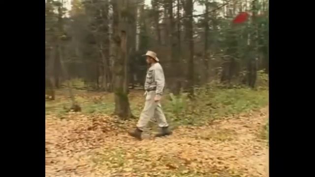 Ориентирование в лесу если вы заблудились.Часть 1