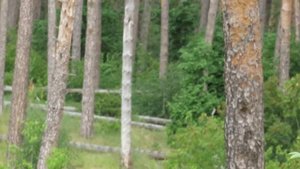 Canon PowerShot SX540 HS test