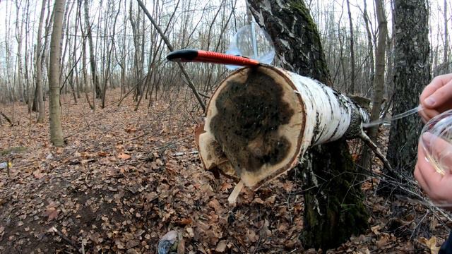 Plastic Bottle Cutter, Bushcraft смотреть онлайн