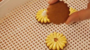 Пряничные Хризантемы,садовые цветы