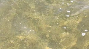 Водохранилище «Волчьи Ворота».#Волчьи ворота #водохранилище