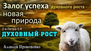 Духовный рост ｜ Залог успеха духовного роста – новая природа. 2-е Петра 1_4 ｜ Алексей Прокопе