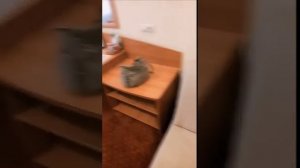 «ЕвроОтель» Ставрополь обзор номера