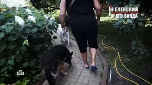 Константин Бедовой — он же Костян Беда, он же Костя Калоша