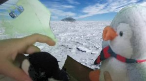 три пингвина 2 серия приключения на Северный полюс