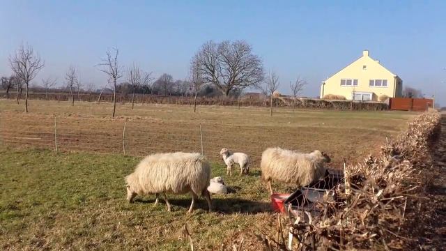 новая жизнь...13.02.17. седьмая неделя года смотреть онлайн