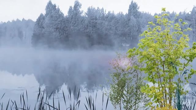 ЗА СИНИМИ ТУМАНАМИ смотреть онлайн