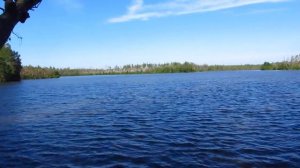 Отдых на озере Нельша/Налша/ Южского района