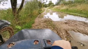 Поход в грибы, Леонполь.