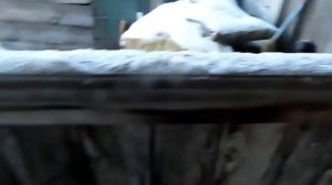 Размеры подшипников НД 21 и делаю ведущий вал с обоймами на КТН1