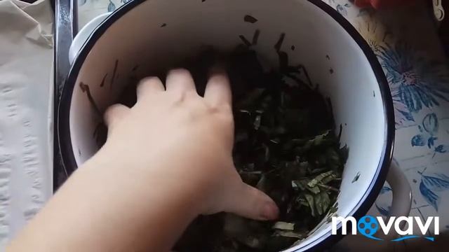 Чай: готовим,ферминтируем на даче смотреть онлайн