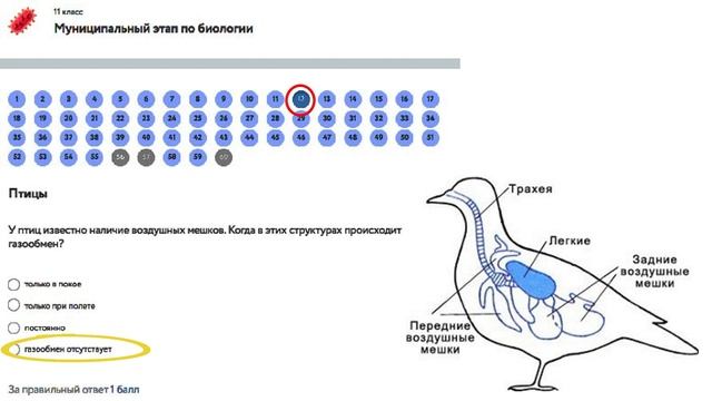 Биология муниципальный этап 8 класс