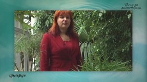 Циперус. Уход за растениями #циперус