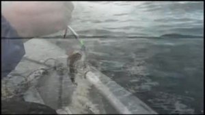 Белое море Гридино ч.1