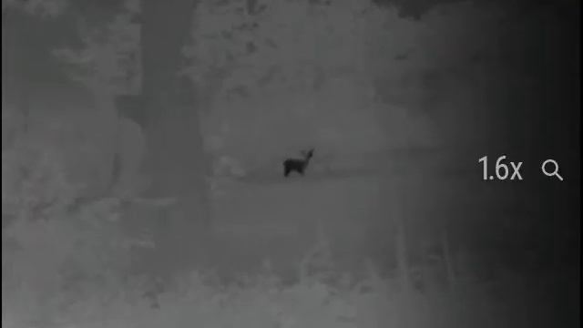 reddeer pulsar helion qx19f смотреть онлайн