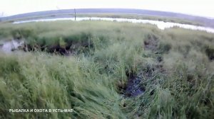 РЫБАЛКА НА СЕКРЕТНОМ ОЗЕРЕ С НОЧЕВКОЙ, ЛОВИМ КАРАСЯ СЕТЯМИ!!! ЯКУТИЯ, УСТЬ-МАЯ 2021!!!