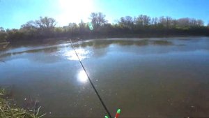 Рыбалка на реке Урал. Фидер. Хороший рыбец и сорожка