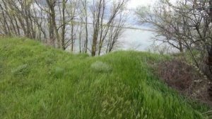 Рыбалка на Маныче Часть 2 Дубки