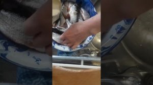 Весенний чебак,засолка.