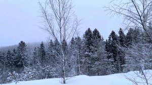 Гора Паасо в Карелии