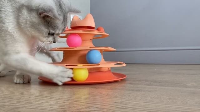 Игрушка