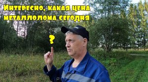 Деревенские окраины.. коп металлолома