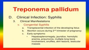 SPIROCHETES - Microbiology