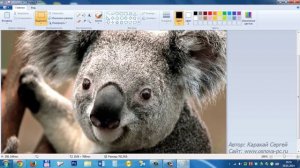 Как обрезать фото или картинку в Paint?