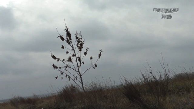 "Достопримечательности" на фоне Чумакова сада или загородные приключения смотреть онлайн