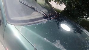 Заброшенный Renault 19