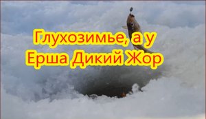 Столько Ерша я ещё не ловил