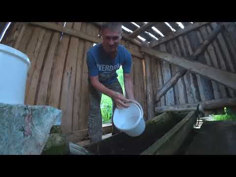 Виталя в Деревне - влог смотреть онлайн