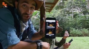 Человека кусает Оса-Палач||УКУС СИЛЬНЕЕ МУРАВЬЯ-ПУЛИ||ЖЕСТЬ