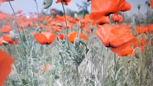 М. Зощенко. Приятная встреча. Короткие аудио рассказы, слушать онлайн смотреть онлайн