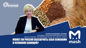 Может ли Россия обеспечить себя семенами в условиях санкций? Интервью эксперта СПбГАУ для Mash