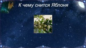 К чему снится Яблоня (Сонник)