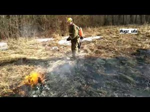 В Уфе из-за лесного пожара чуть не сгорели садовые домики