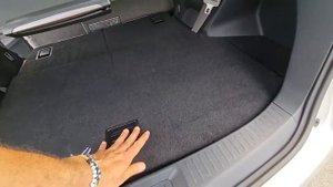 Toyota Mark X Zio 2008