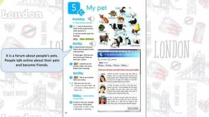 Spotlight 5. Модуль 5с. My pet